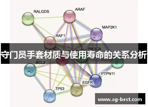 守门员手套材质与使用寿命的关系分析